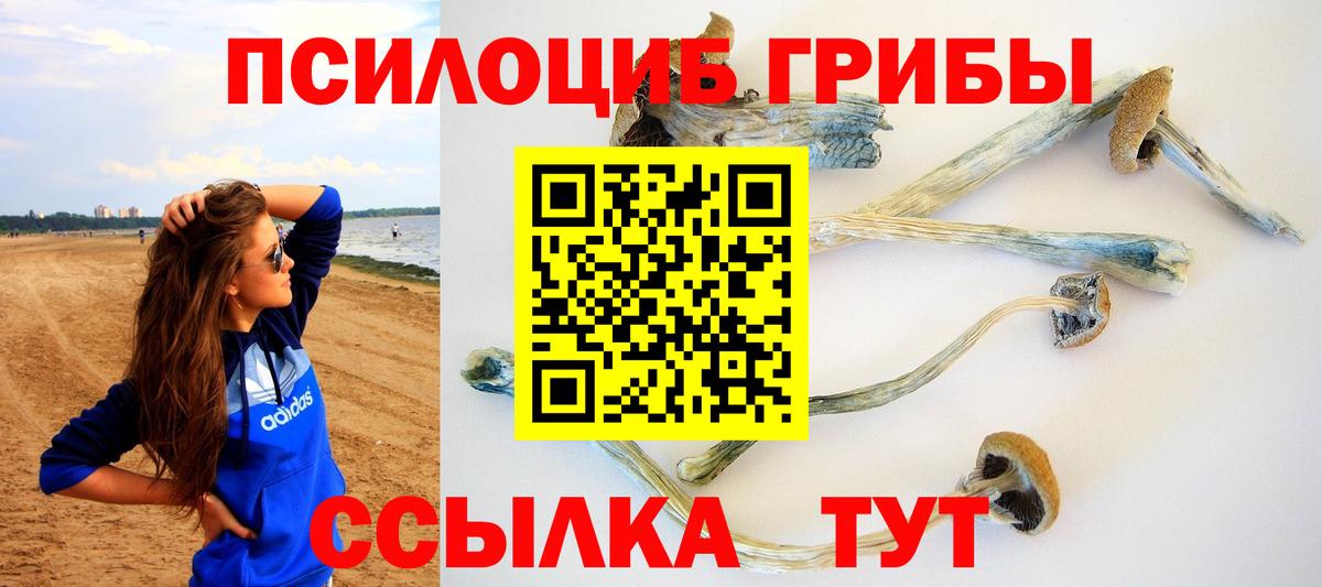 Псилоцибиновые грибы GOLDEN TEACHER  Вход с VPN  Вязники 