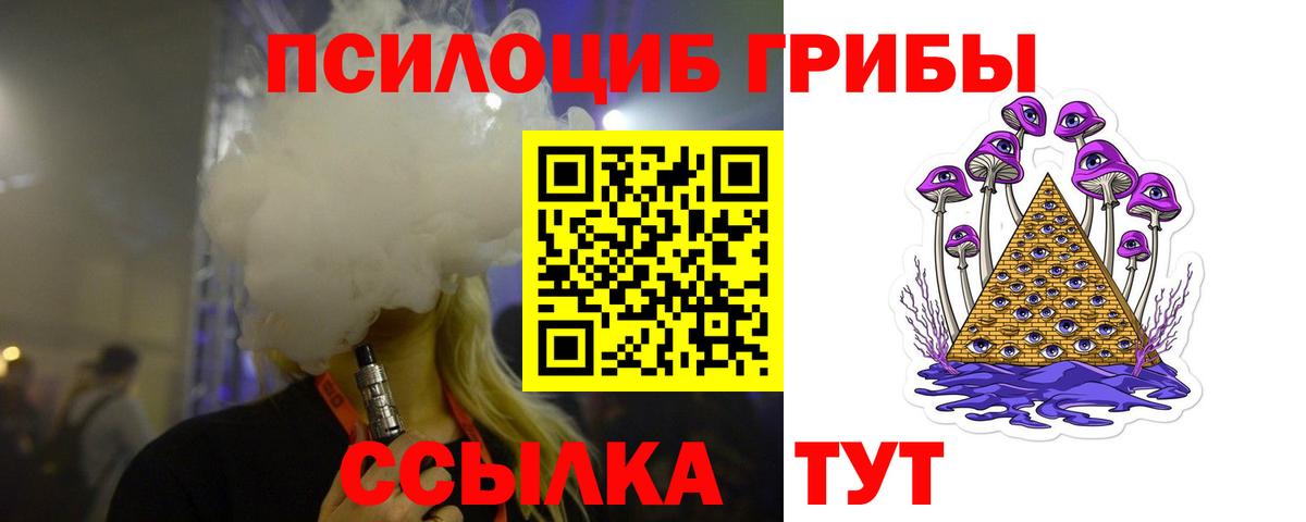 Псилоцибиновые грибы Psilocybe Вязники